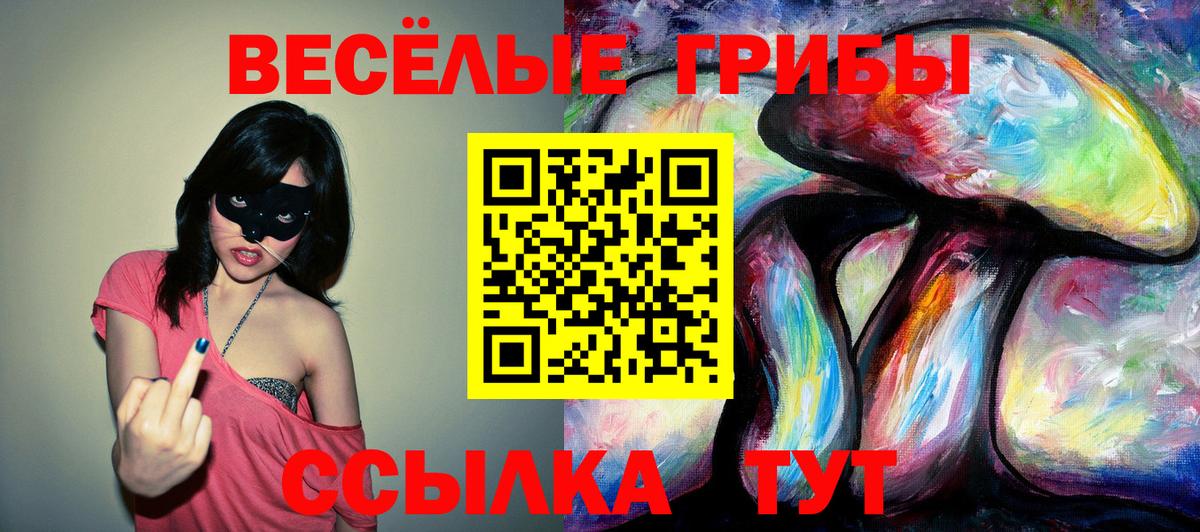 Псилоцибиновые грибы прущие грибы Бугуруслан