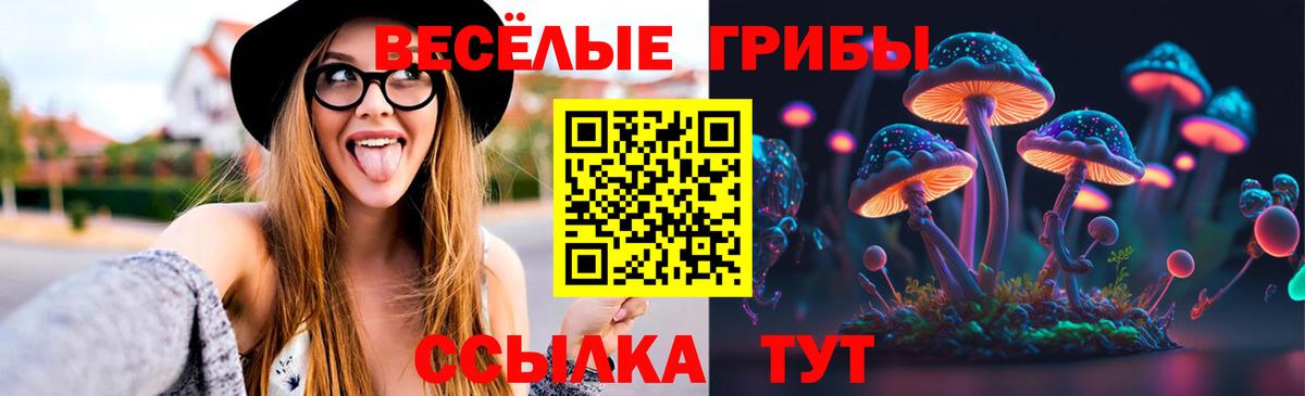 Псилоцибиновые грибы Cubensis  Вход с VPN  Псилоцибиновые грибы GOLDEN TEACHER  Бугуруслан 